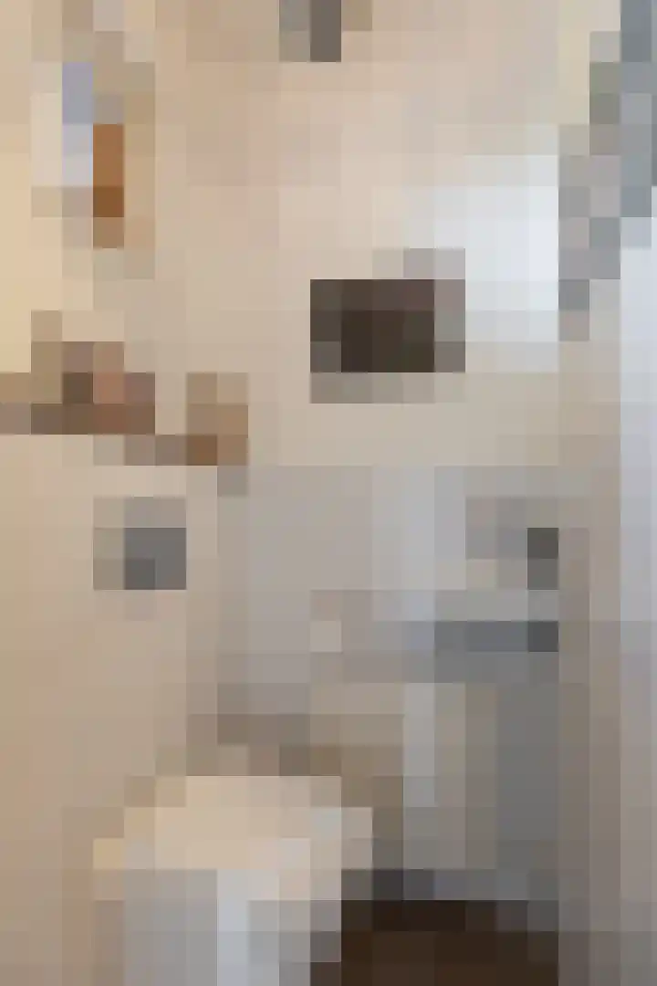 Witte Kruis 21 Babberich thumbnail 16