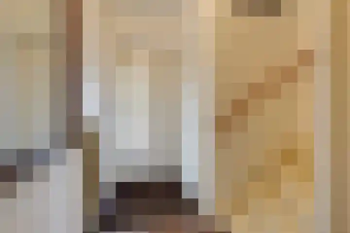 Witte Kruis 21 Babberich thumbnail 17
