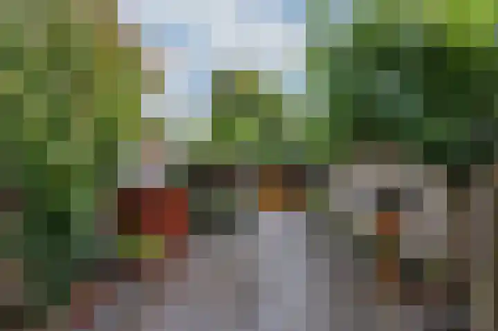 Witte Kruis 21 Babberich thumbnail 53