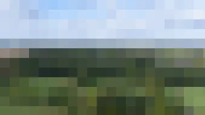 Witte Kruis 21 Babberich thumbnail 9