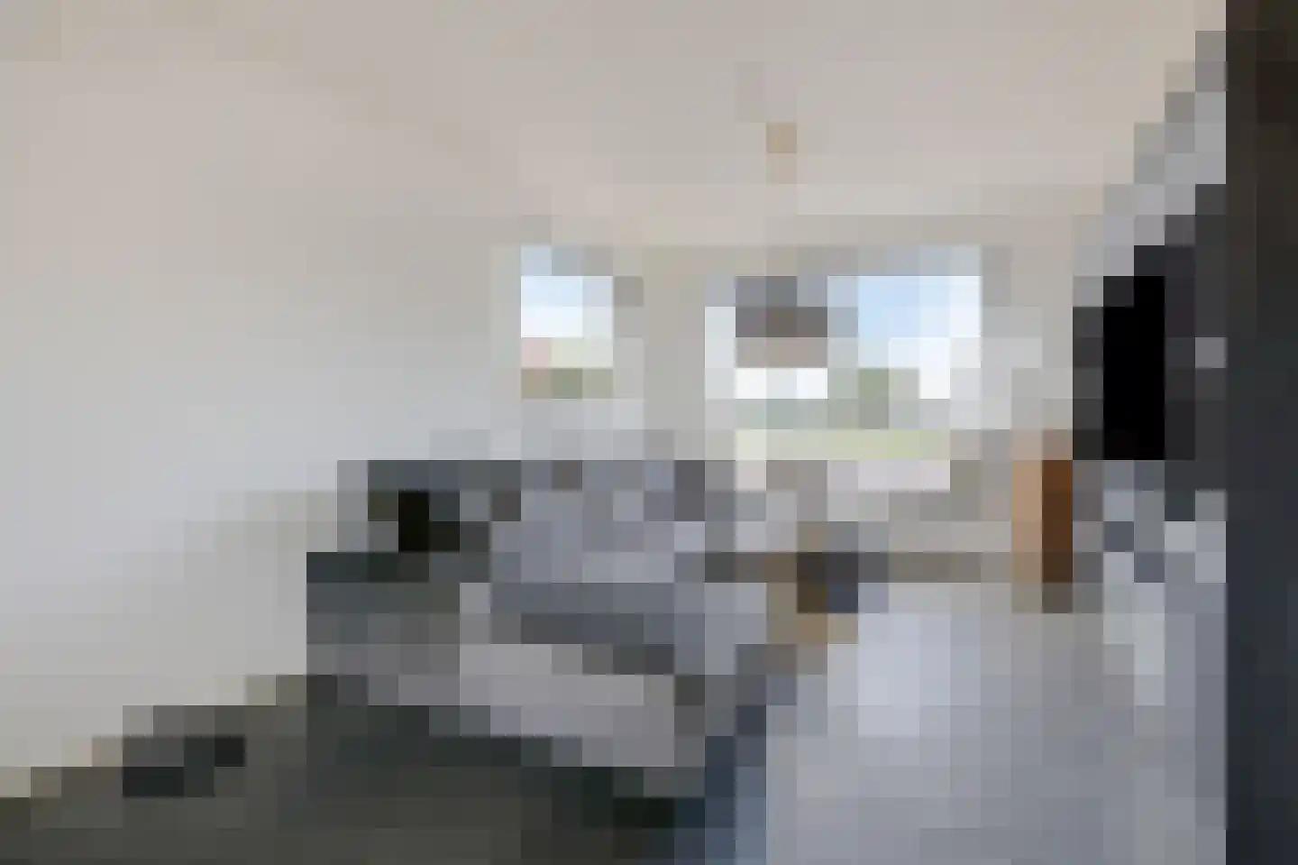 Witte Kruis 61 Babberich thumbnail 18