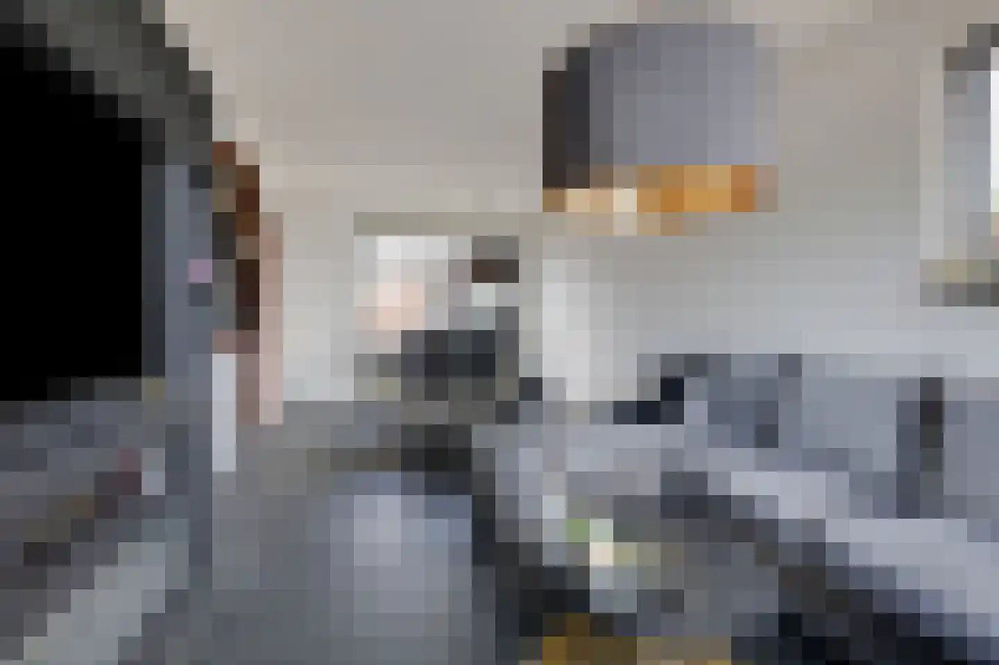Witte Kruis 61 Babberich thumbnail 21