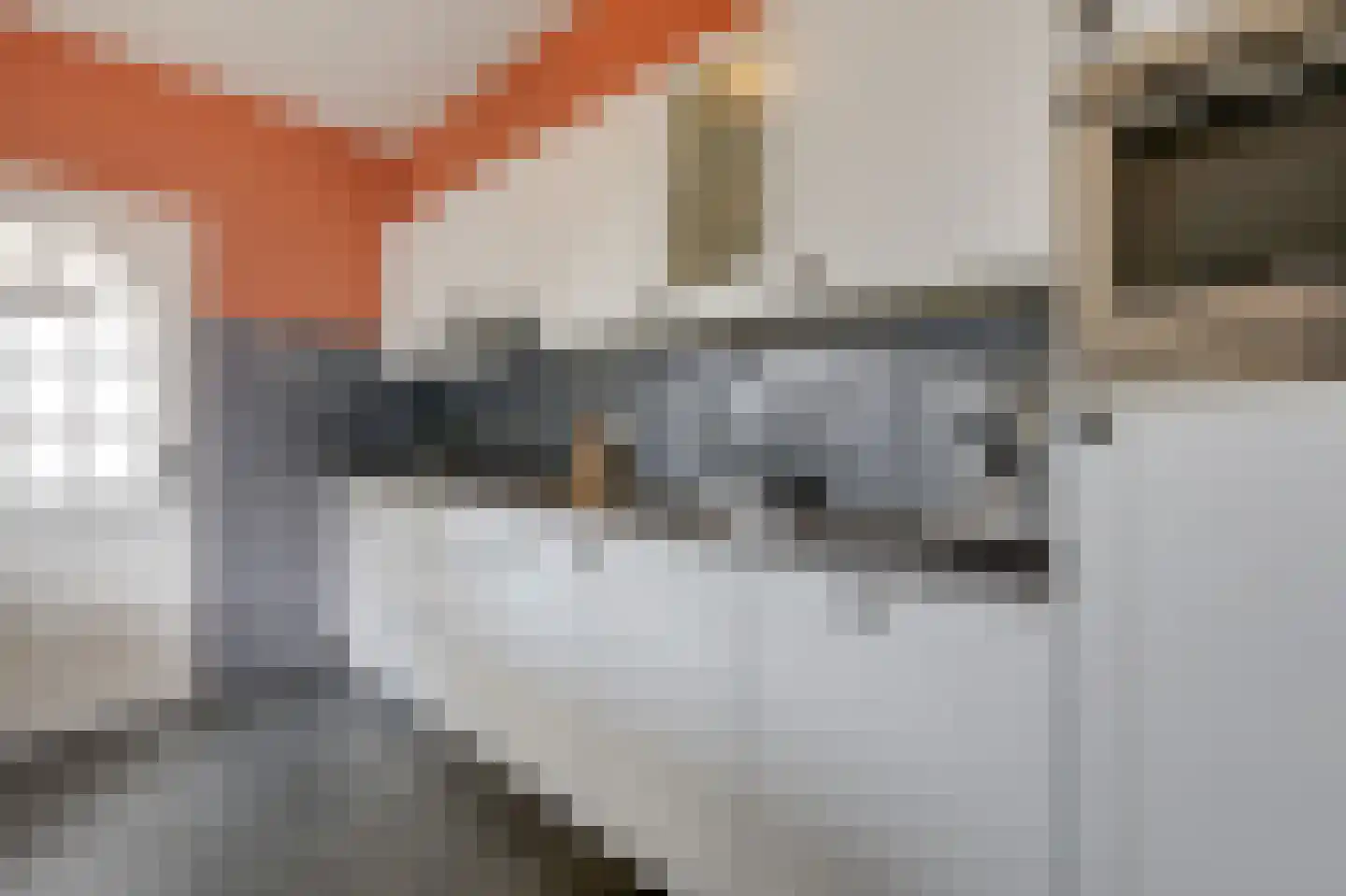 Witte Kruis 61 Babberich thumbnail 25