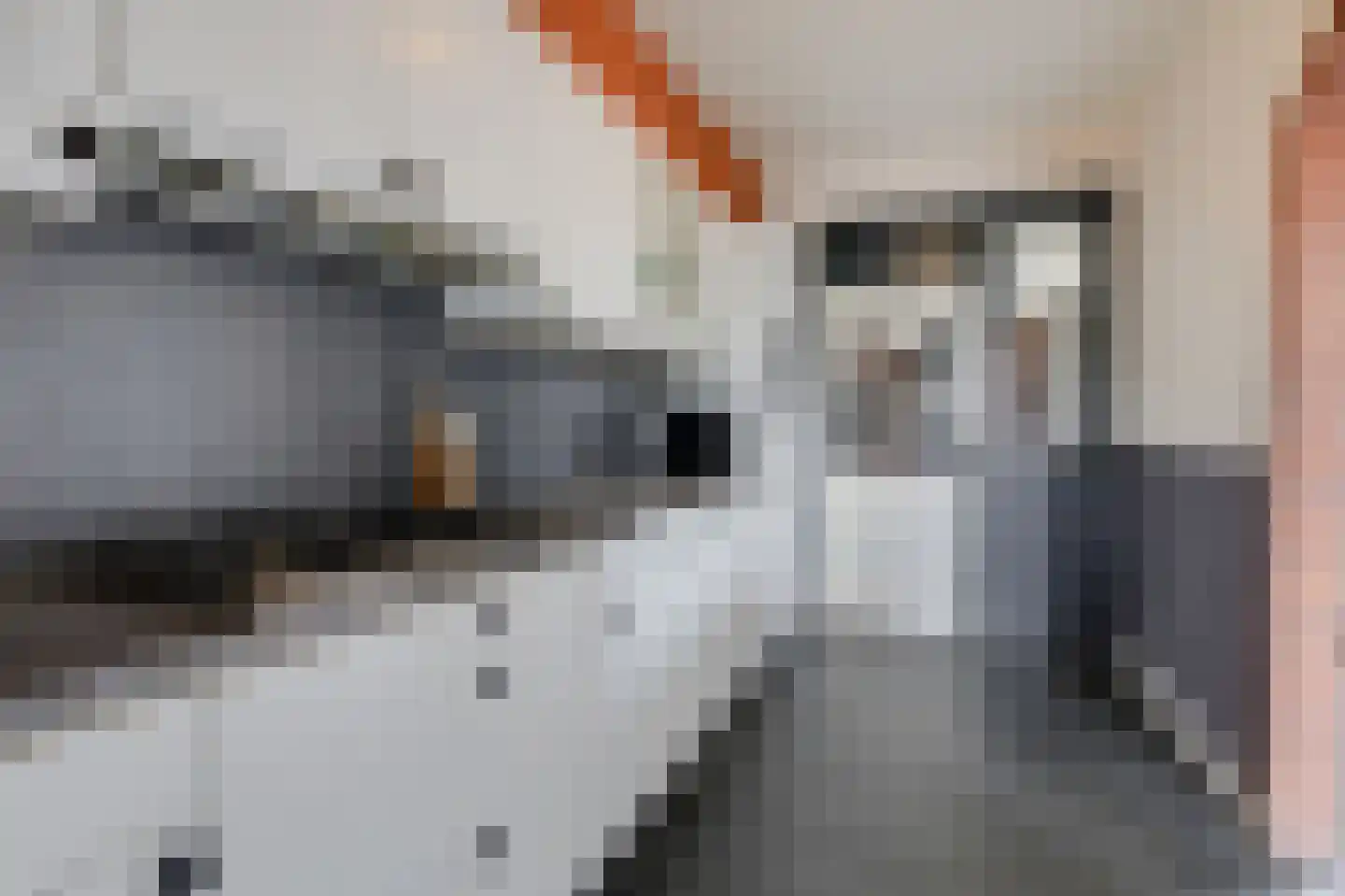 Witte Kruis 61 Babberich thumbnail 27