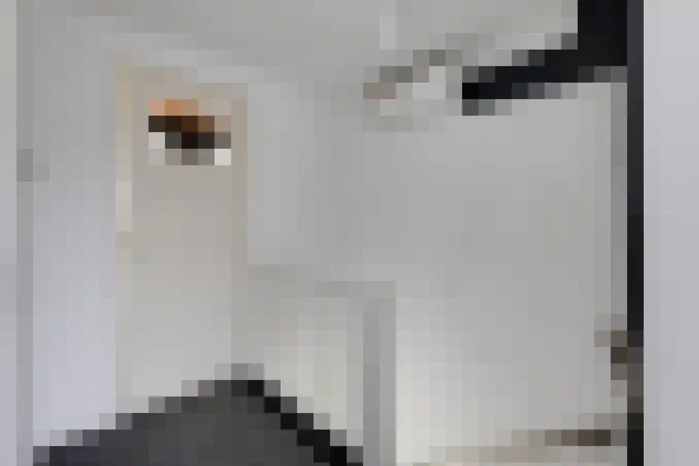 Witte Kruis 61 Babberich thumbnail 35