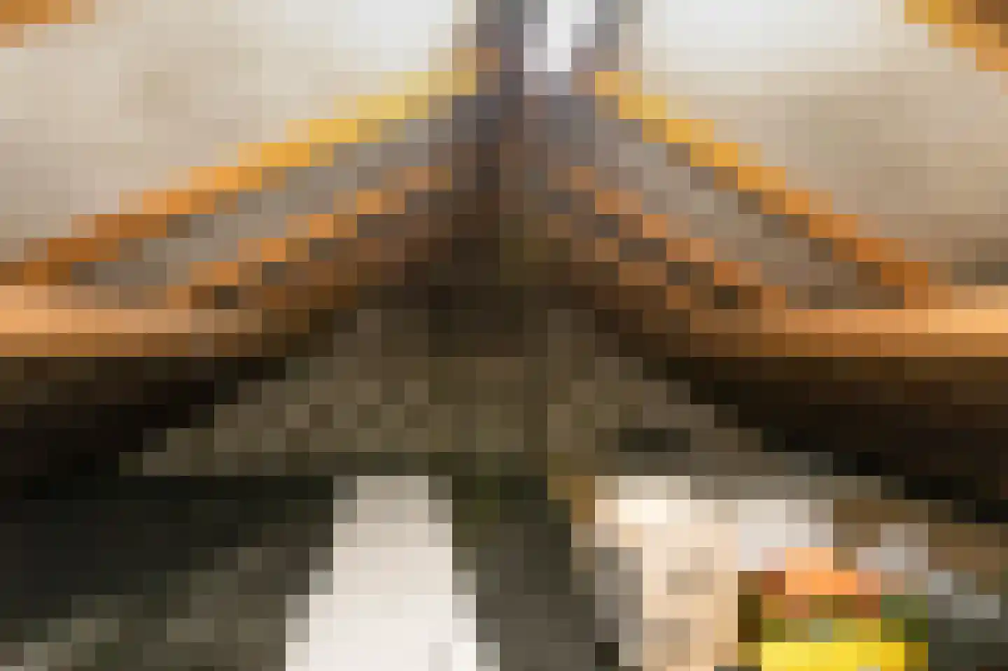 Witte Kruis 61 Babberich thumbnail 44