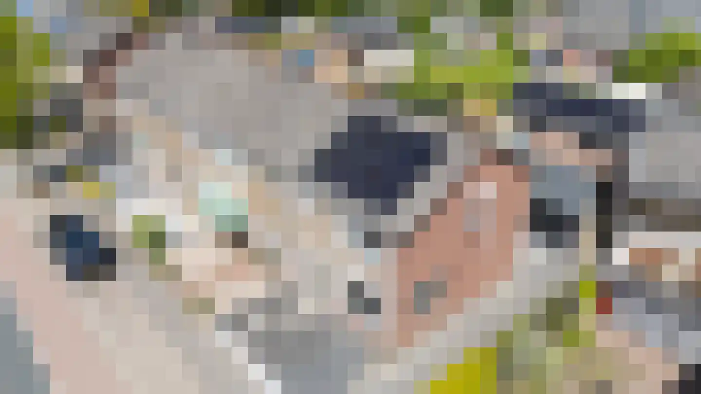 Witte Kruis 61 Babberich thumbnail 46
