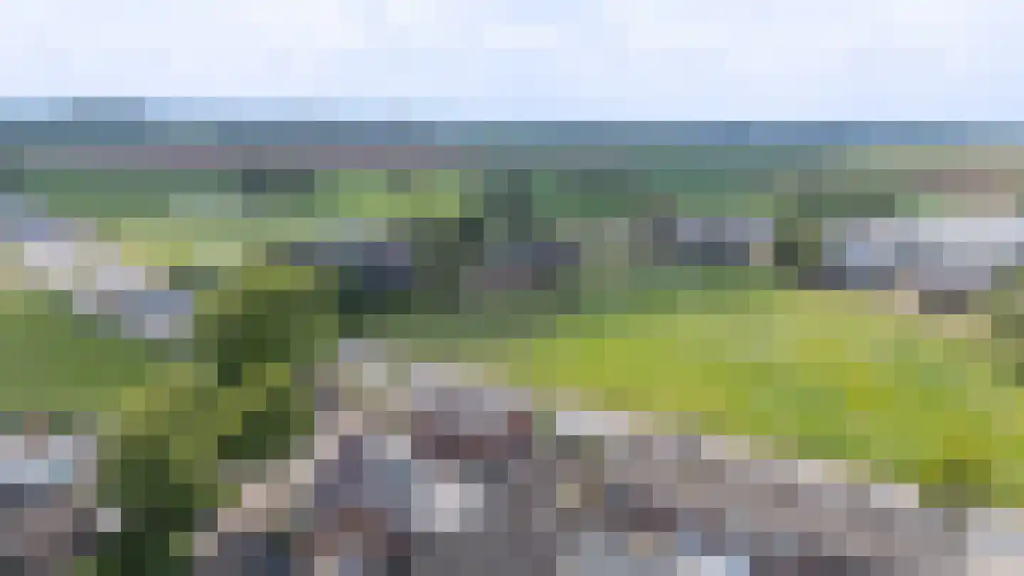 Witte Kruis 61 Babberich thumbnail 52