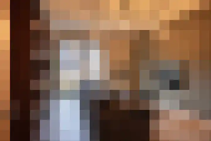 Witte Kruislaan 37 Hilversum thumbnail 23