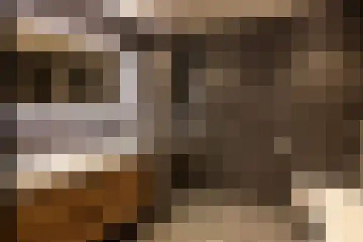 Witte Kruislaan 37 Hilversum thumbnail 28