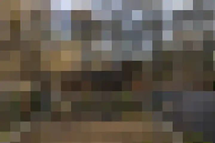 Witte Kruislaan 37 Hilversum thumbnail 43