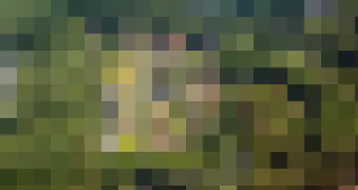 Witte Kruislaan 37 Hilversum thumbnail 50