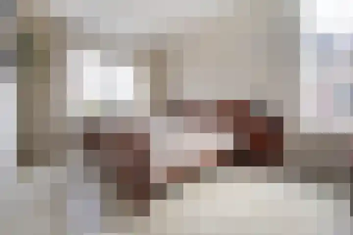 Witte Kwikstaart 21 Zevenhoven thumbnail 10