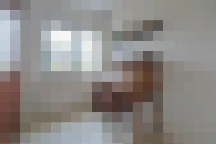 Witte Kwikstaart 21 Zevenhoven thumbnail 12