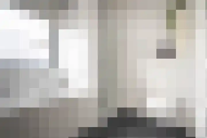 Witte Kwikstaart 21 Zevenhoven thumbnail 15