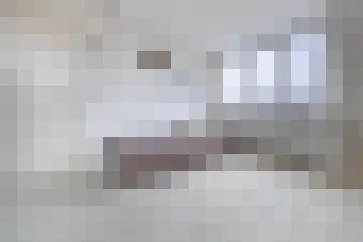 Witte Kwikstaart 21 Zevenhoven thumbnail 18