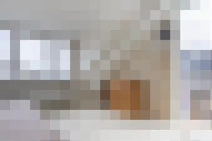Witte Kwikstaart 21 Zevenhoven thumbnail 19