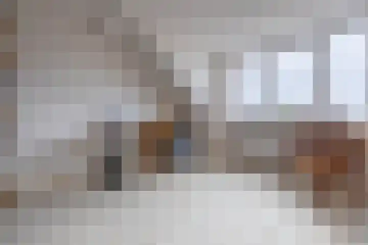 Witte Kwikstaart 21 Zevenhoven thumbnail 20