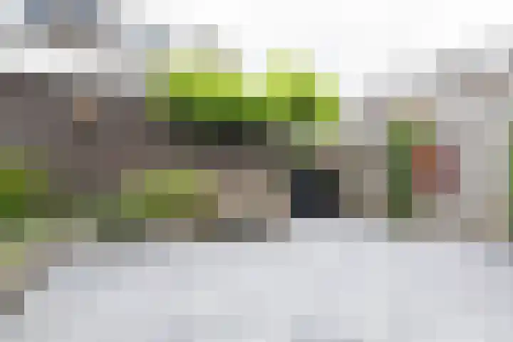 Witte Kwikstaart 21 Zevenhoven thumbnail 21