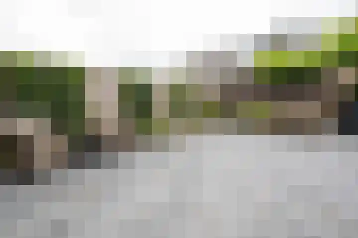 Witte Kwikstaart 21 Zevenhoven thumbnail 22
