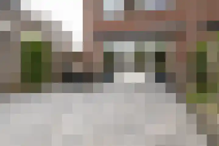 Witte Kwikstaart 21 Zevenhoven thumbnail 23