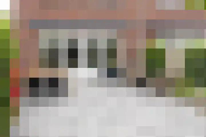 Witte Kwikstaart 21 Zevenhoven thumbnail 24