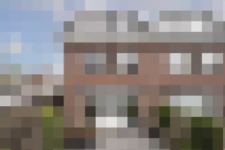 Witte Kwikstaart 21 Zevenhoven thumbnail 25