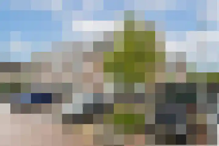Witte Kwikstaart 21 Zevenhoven thumbnail 26