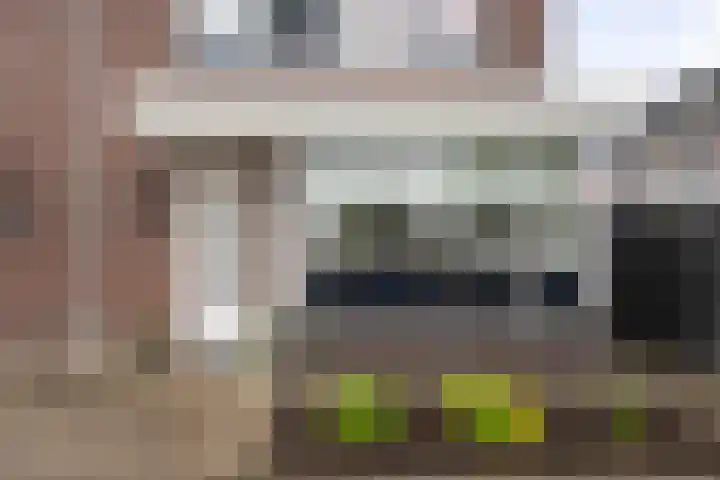 Witte Kwikstaart 21 Zevenhoven thumbnail 27