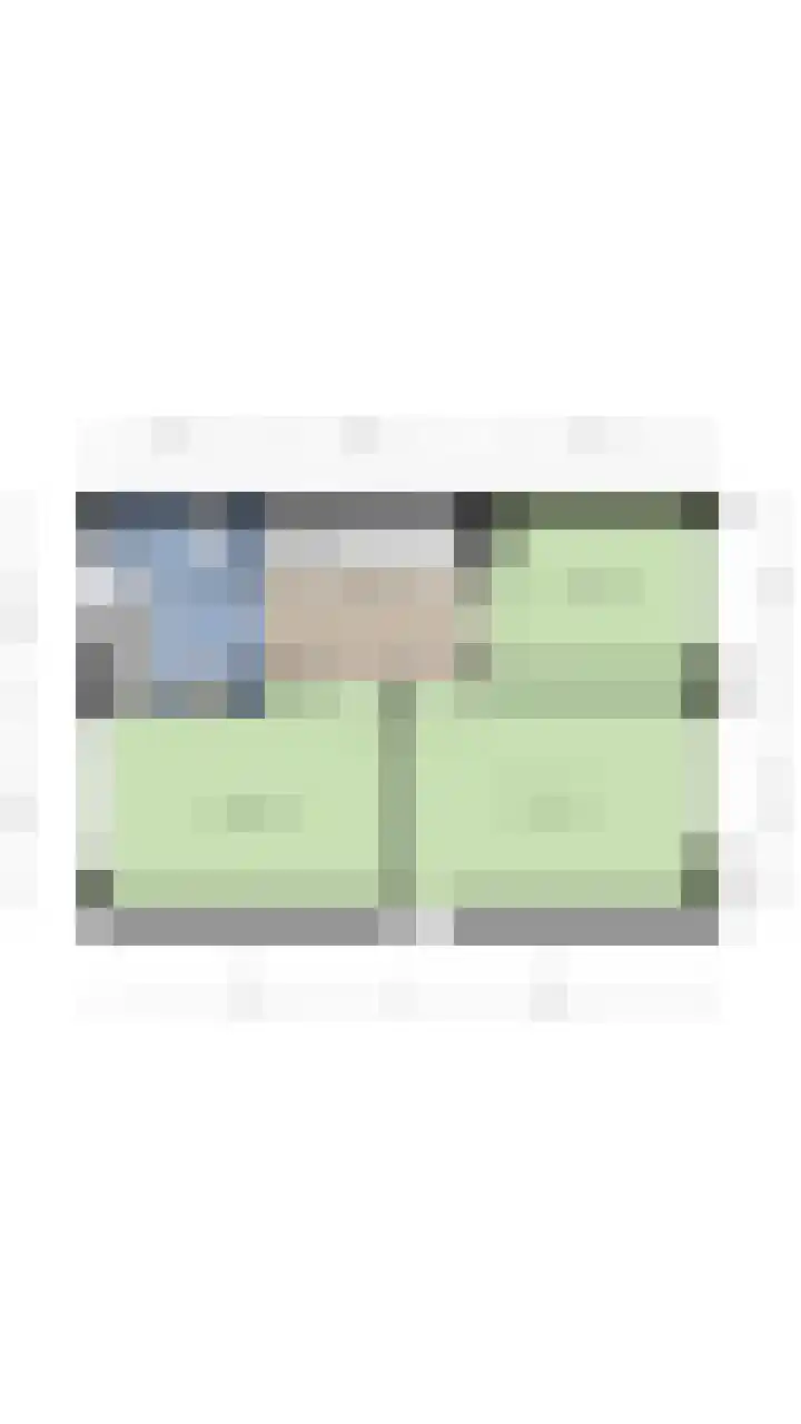 Witte Kwikstaart 21 Zevenhoven thumbnail 29