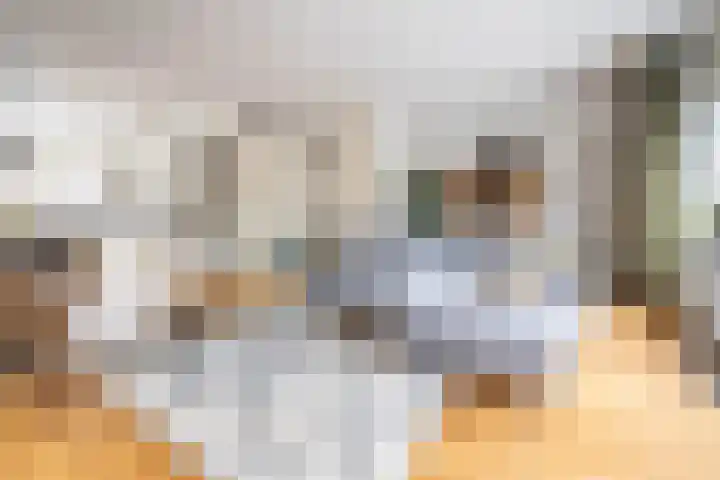 Witte Kwikstaart 21 Zevenhoven thumbnail 4