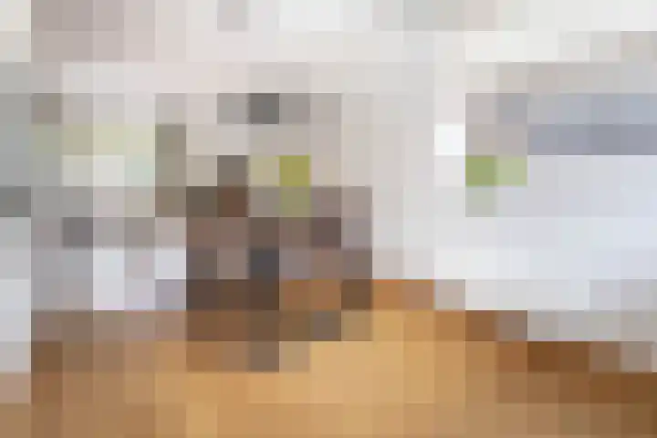 Witte Kwikstaart 21 Zevenhoven thumbnail 6