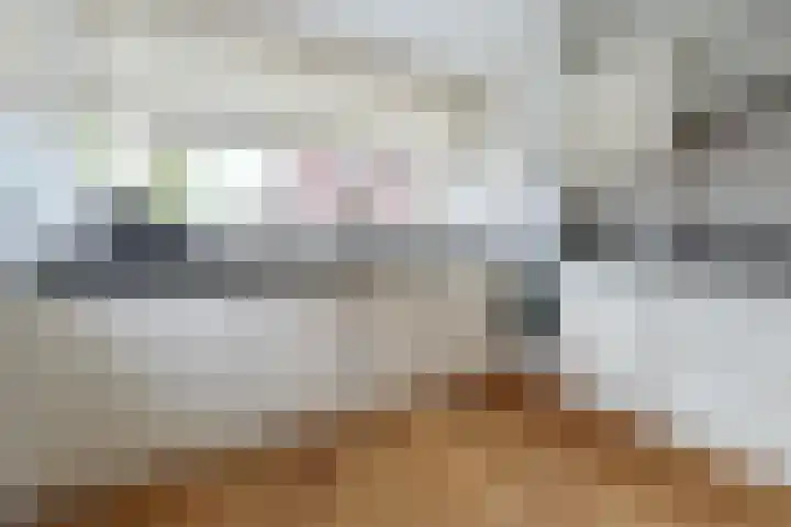 Witte Kwikstaart 21 Zevenhoven thumbnail 7