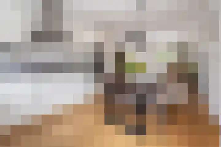 Witte Kwikstaart 21 Zevenhoven thumbnail 8