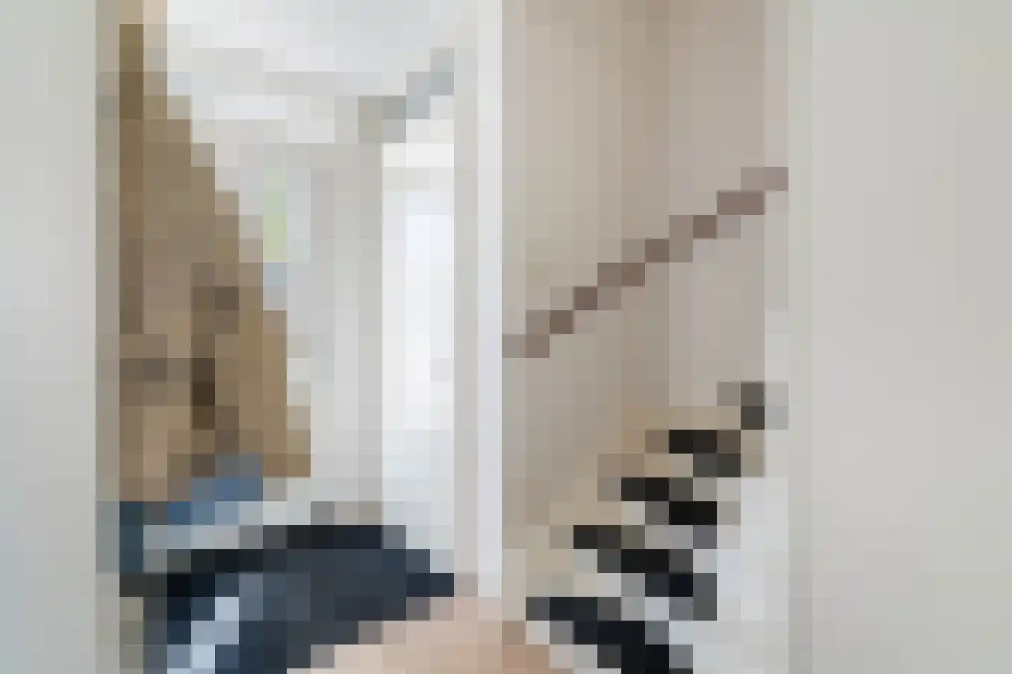 Witte Kwikstaart 8 Zevenhoven thumbnail 11
