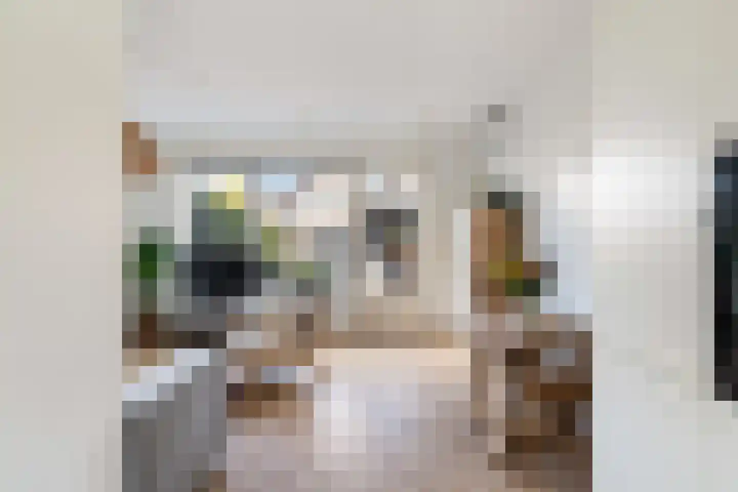 Witte Kwikstaart 8 Zevenhoven thumbnail 14