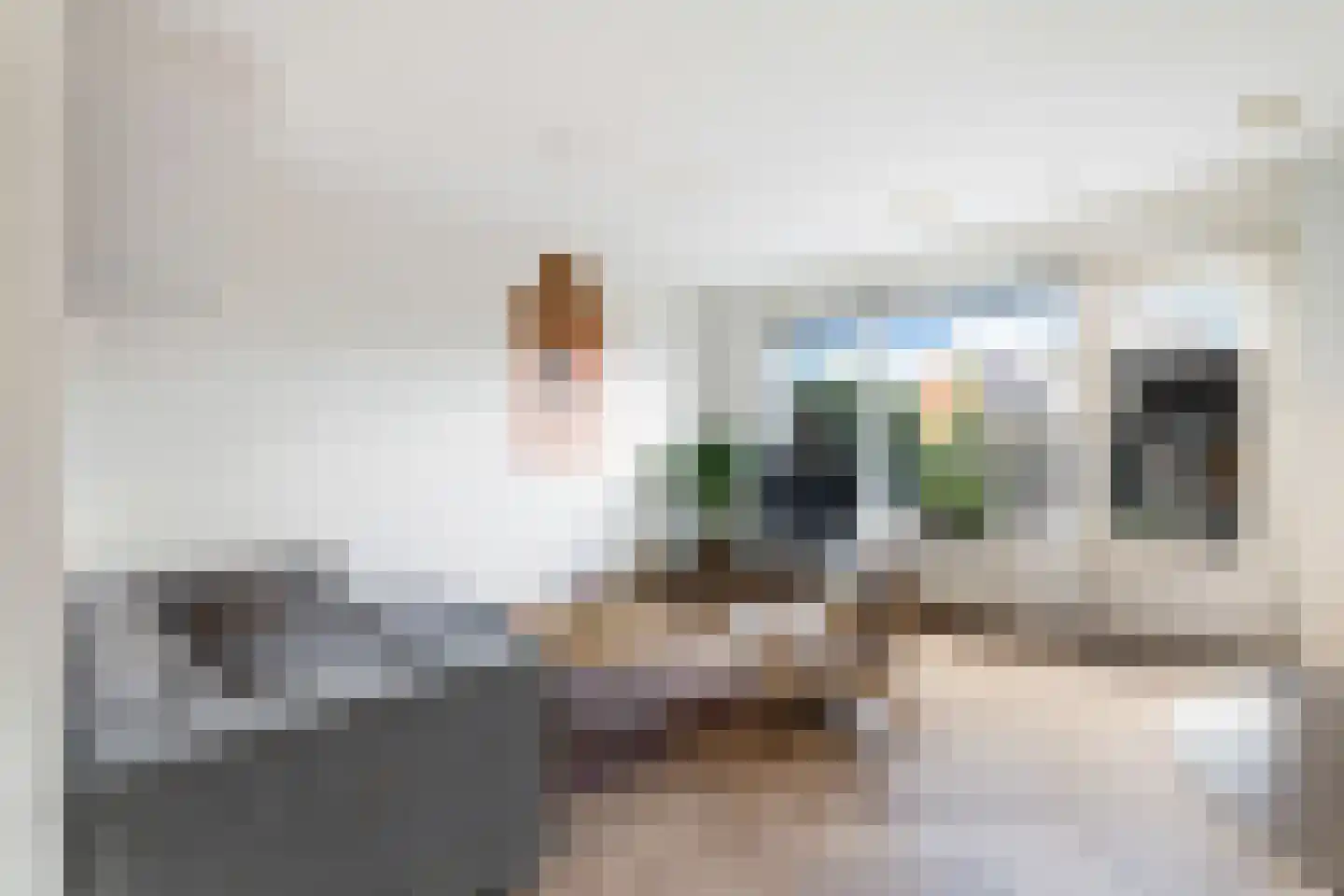Witte Kwikstaart 8 Zevenhoven thumbnail 15