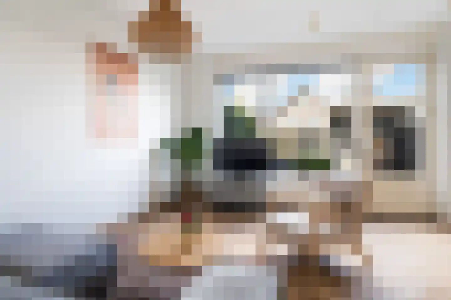 Witte Kwikstaart 8 Zevenhoven thumbnail 16