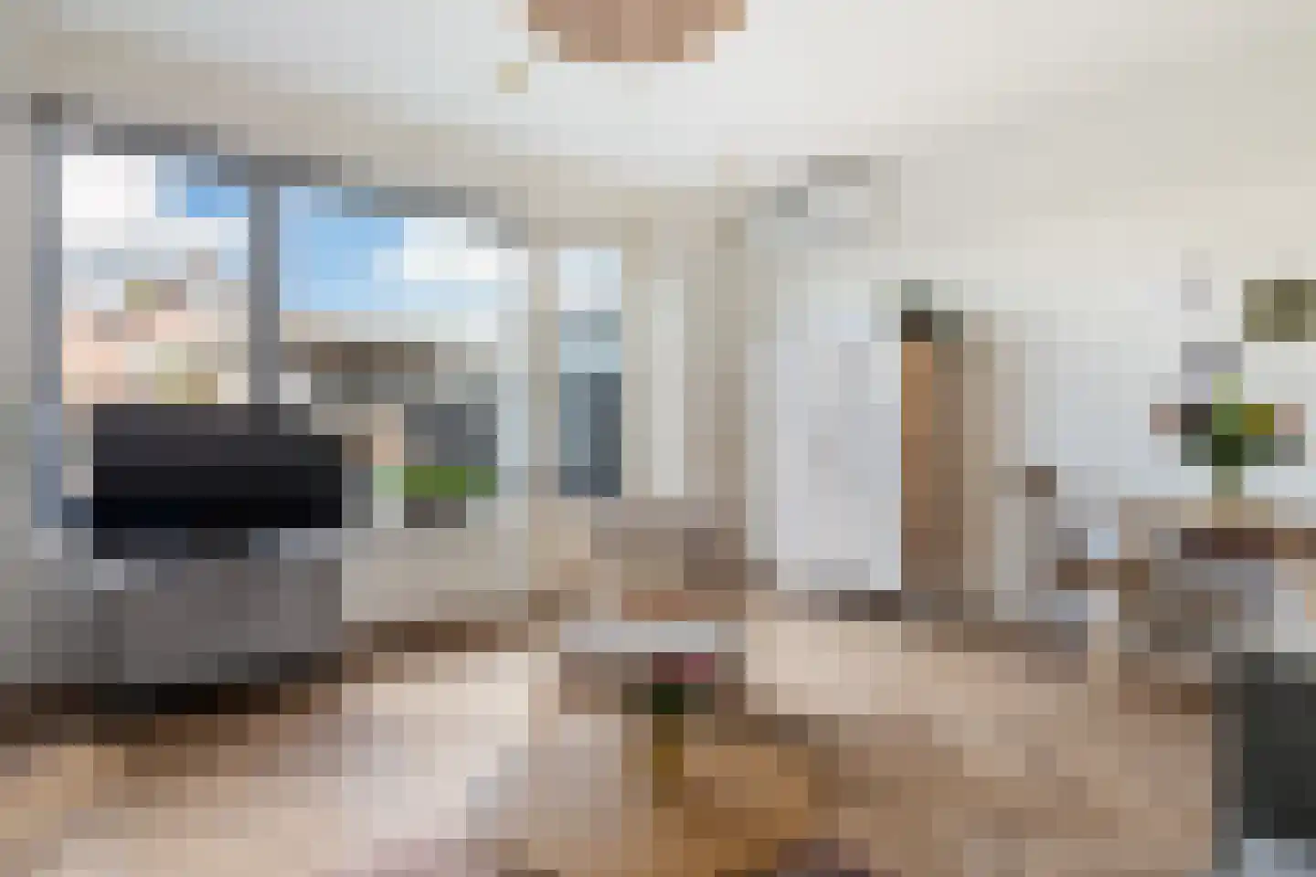 Witte Kwikstaart 8 Zevenhoven thumbnail 18