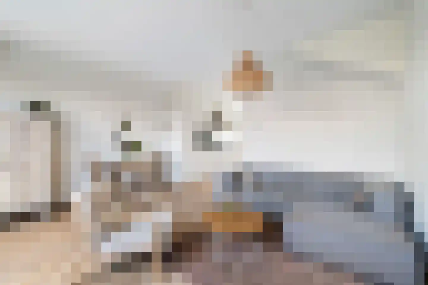 Witte Kwikstaart 8 Zevenhoven thumbnail 19