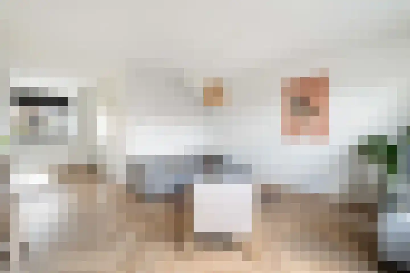 Witte Kwikstaart 8 Zevenhoven thumbnail 20