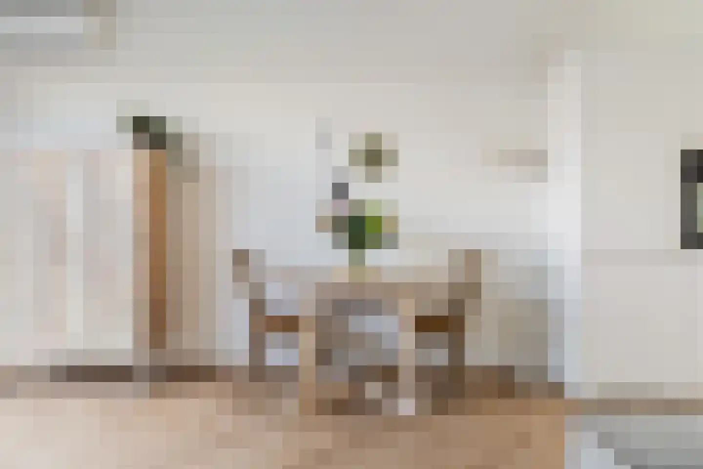 Witte Kwikstaart 8 Zevenhoven thumbnail 21