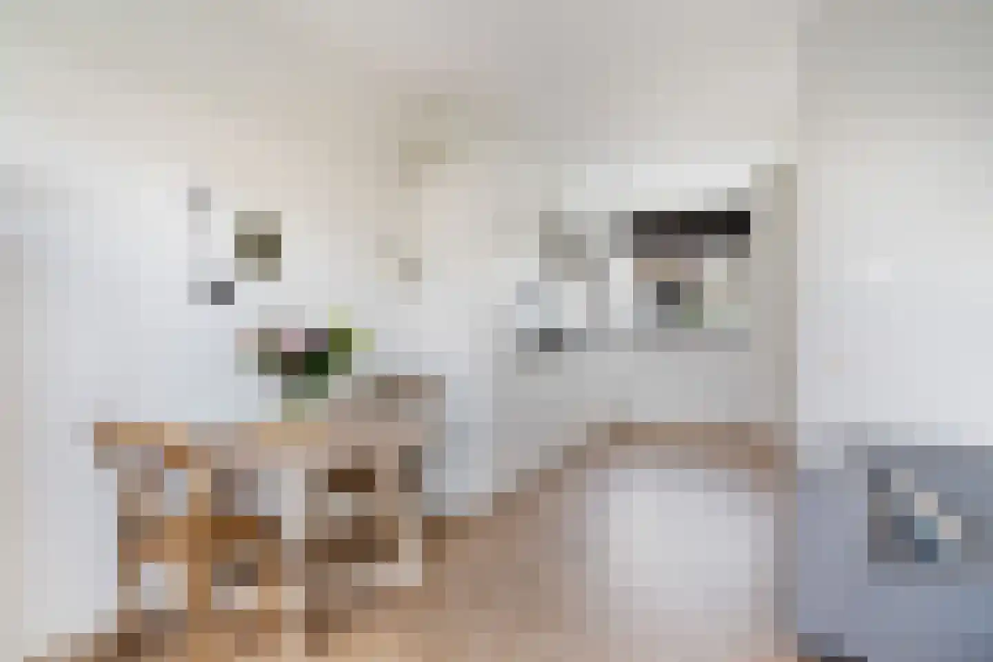 Witte Kwikstaart 8 Zevenhoven thumbnail 22