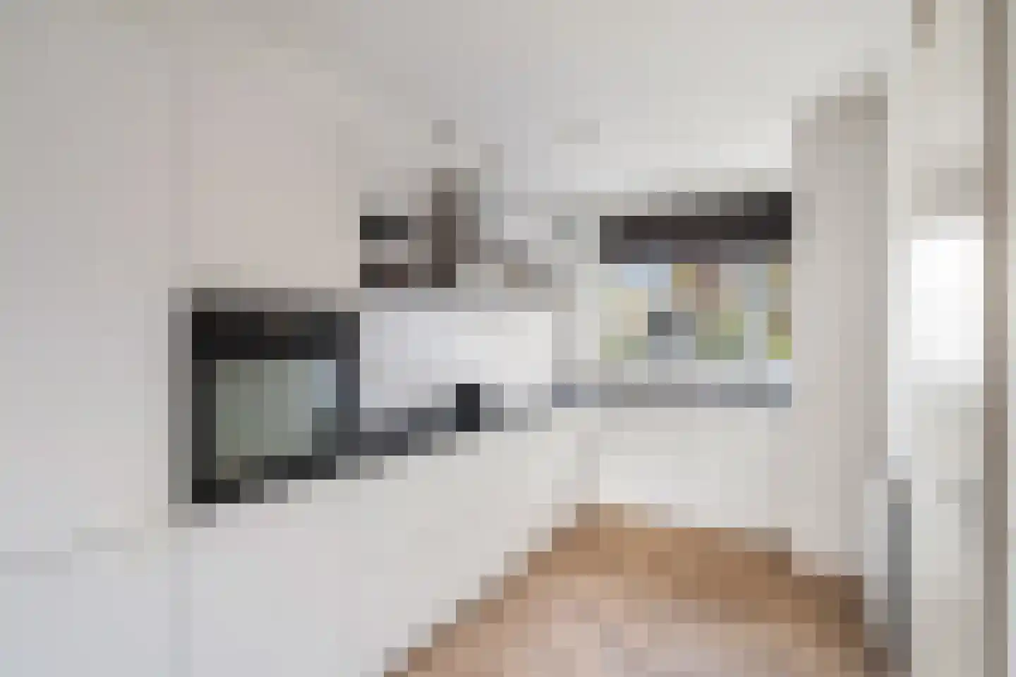 Witte Kwikstaart 8 Zevenhoven thumbnail 24