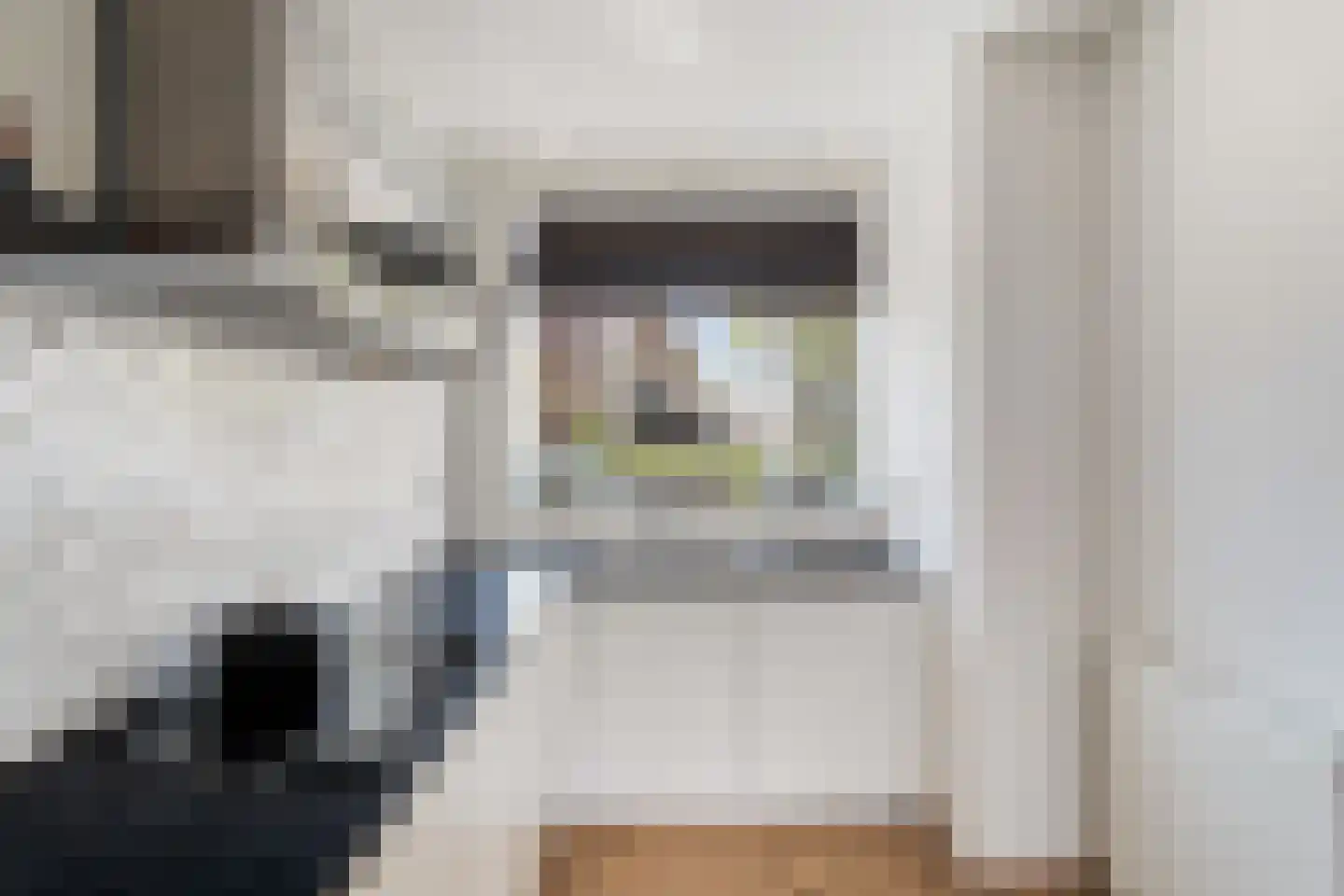 Witte Kwikstaart 8 Zevenhoven thumbnail 25