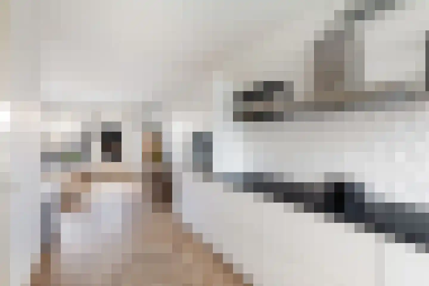 Witte Kwikstaart 8 Zevenhoven thumbnail 26