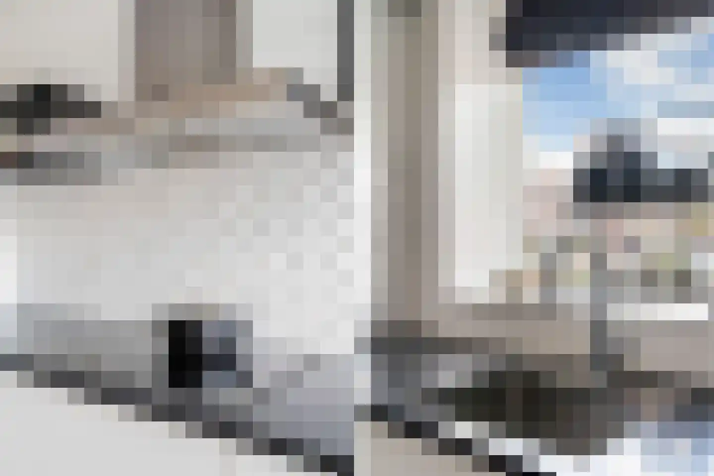Witte Kwikstaart 8 Zevenhoven thumbnail 27