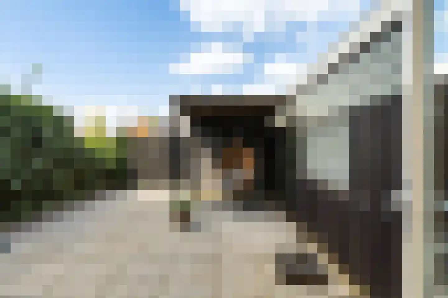 Witte Kwikstaart 8 Zevenhoven thumbnail 28