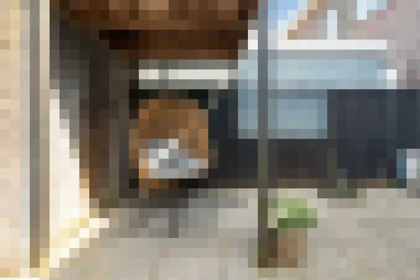 Witte Kwikstaart 8 Zevenhoven thumbnail 30