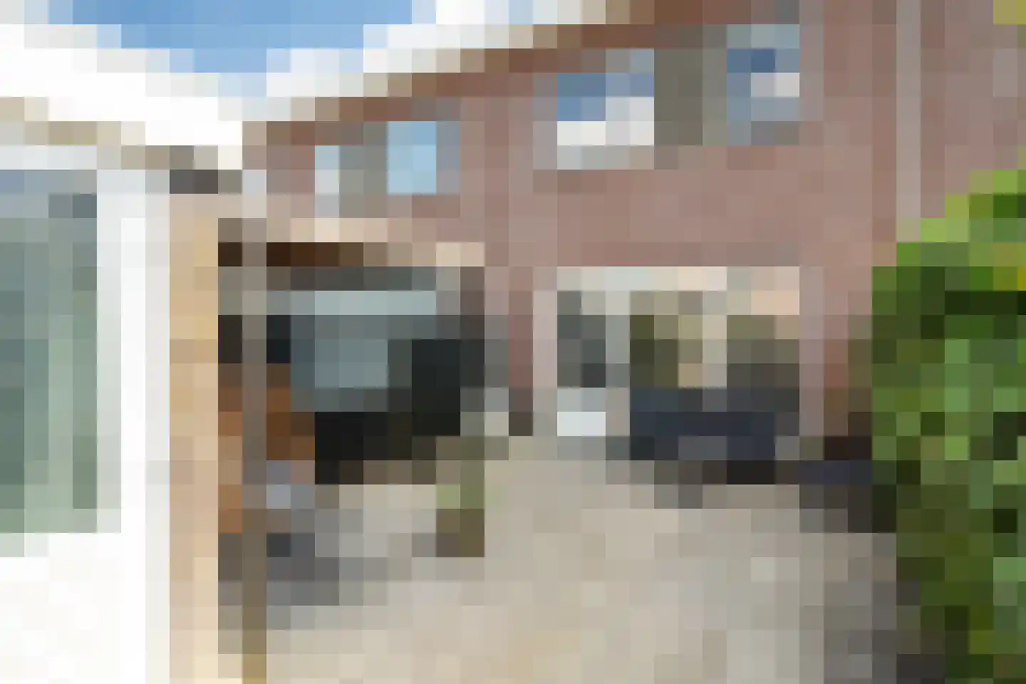 Witte Kwikstaart 8 Zevenhoven thumbnail 32